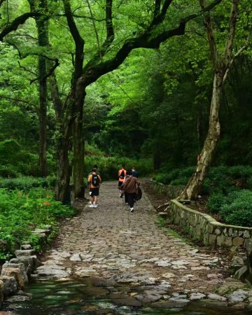 Hiking